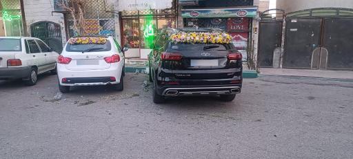 گلستان سفیر سبز