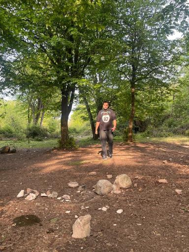 عکس جنگل های نور