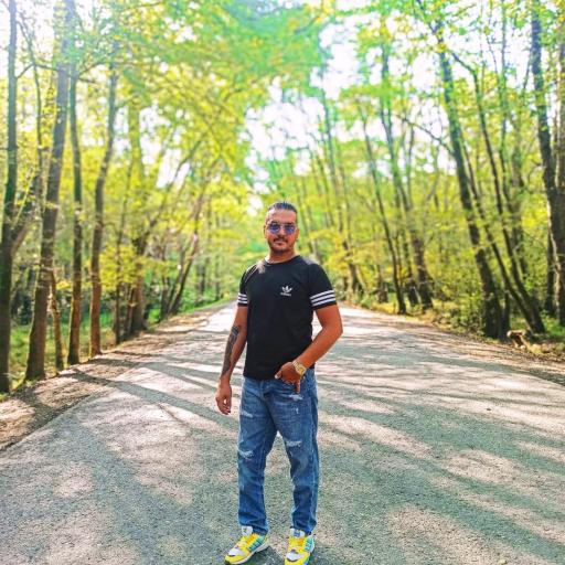 عکس جنگل های نور