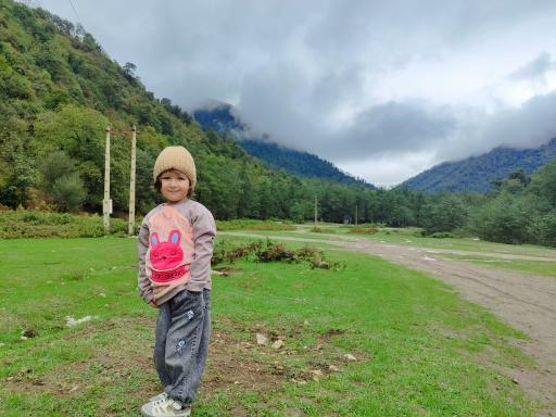 عکس جنگل های نور