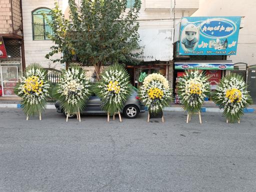 عکس گلستان سفیر سبز