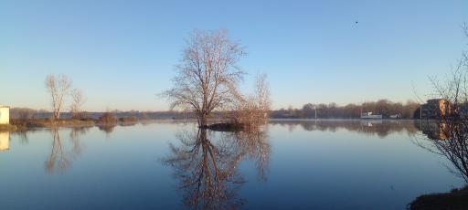 عکس جنگل های نور