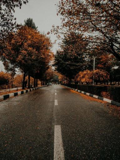 عکس دانشگاه رازی کرمانشاه