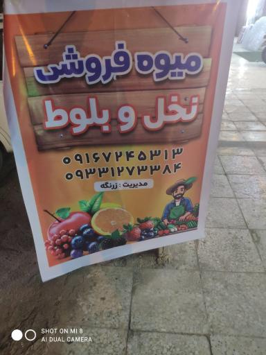 عکس میوه فروشی نخل