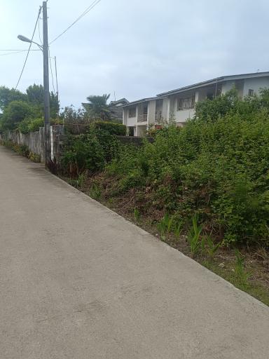 عکس شهرک یاس