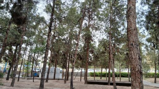 عکس بوستان فدک