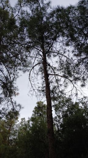 عکس بوستان فدک