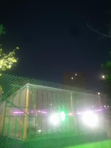 عکس بوستان باران