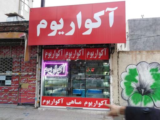 عکس آکواریم آبنوس