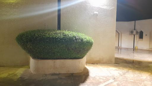 عکس هتل آبادگران کیش