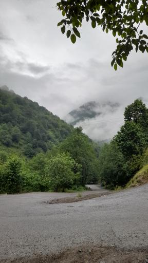 عکس رستوران پویا
