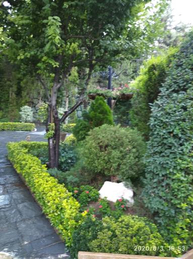 عکس بوستان عناب