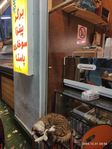 عکس کافه و فست فود جوان