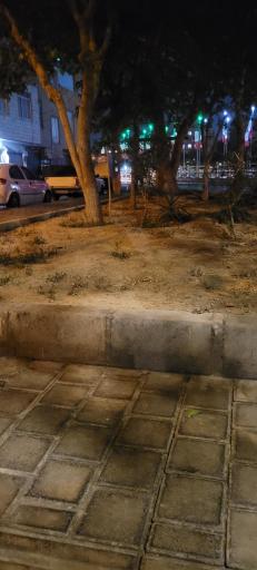 عکس بوستان عناب