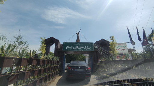 عکس پارک جنگلی تلار