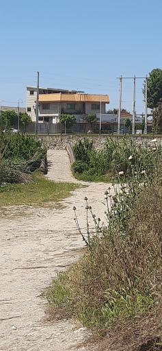 عکس خشت پل جویبار