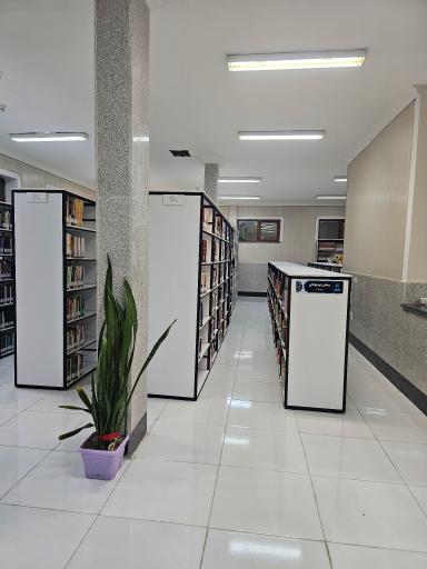 کتابخانه عمومی علی علمی