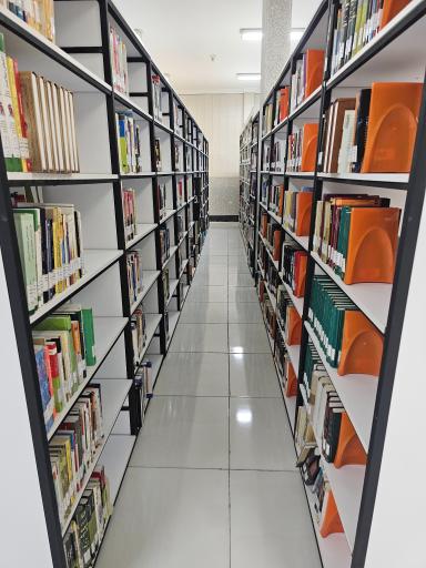 کتابخانه عمومی علی علمی