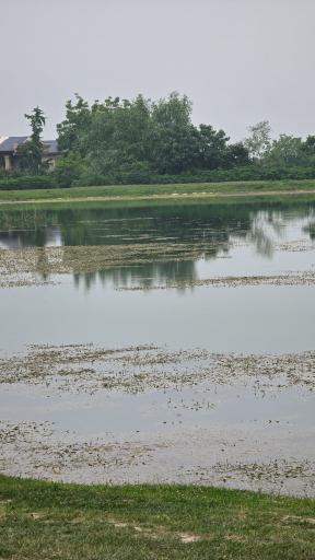 عکس آب بند اسپی کلا