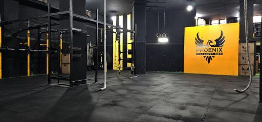 باشگاه کراس فیت فونیکس