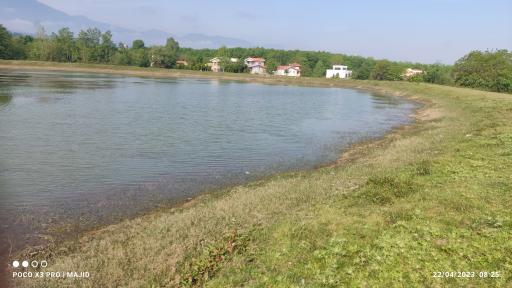 عکس آب بند اسپی کلا