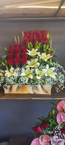 عکس گلفروشی ریشه