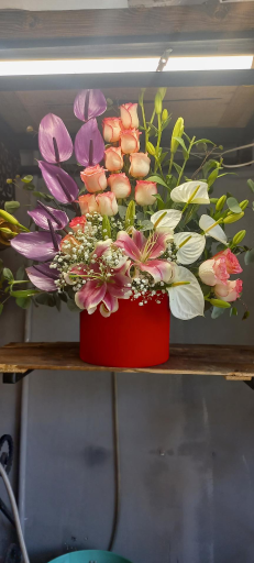 عکس گلفروشی ریشه