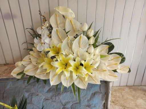 عکس گلفروشی ریشه