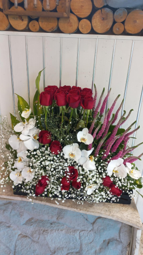 عکس گلفروشی ریشه