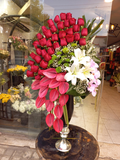 عکس گلفروشی ریشه