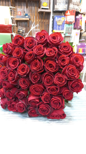 عکس گلفروشی ریشه