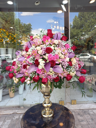 عکس گلفروشی ریشه