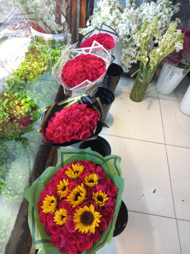 گلفروشی ریشه