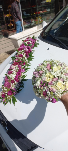 عکس گلفروشی ریشه