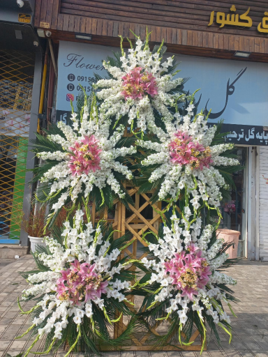 عکس گلفروشی ریشه