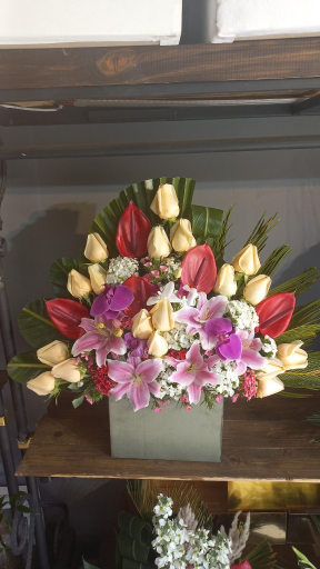 عکس گلفروشی ریشه
