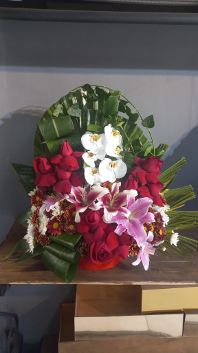 عکس گلفروشی ریشه