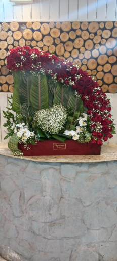 عکس گلفروشی ریشه