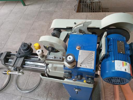 عکس اره تیزکنی بهار