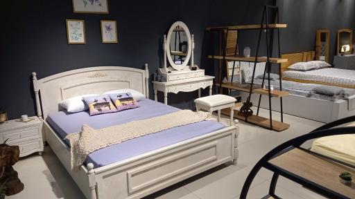 عکس گالری شالک