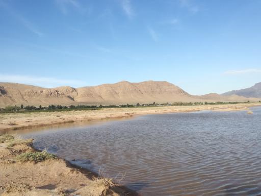 عکس ویدوج