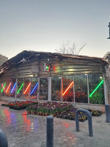 عکس گل سرای خرم