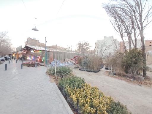 عکس گل سرای خرم