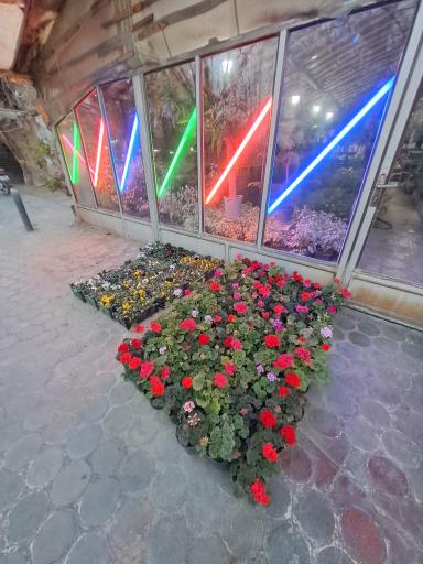 عکس گل سرای خرم