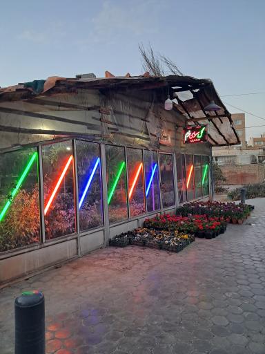 عکس گل سرای خرم