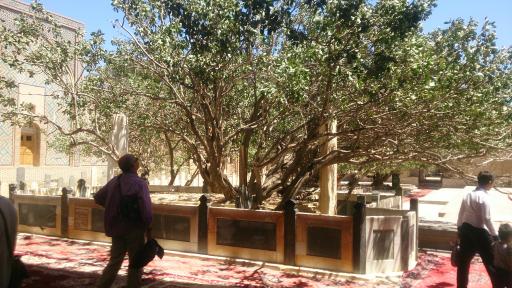 عکس آرامگاه شیخ احمد جامی