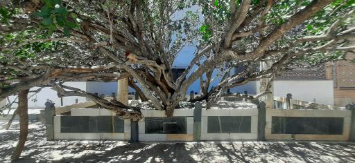 عکس آرامگاه شیخ احمد جامی