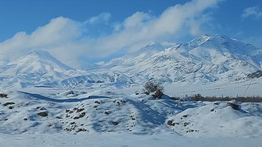 عکس ویدوج
