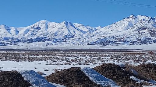 عکس ویدوج