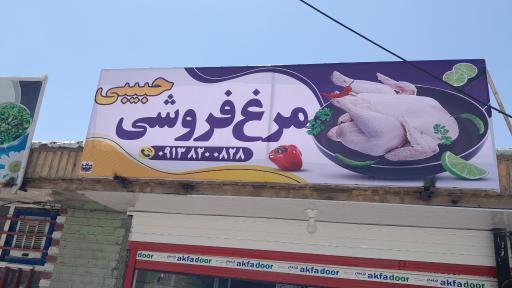 عکس مرغ کشته حبیبی